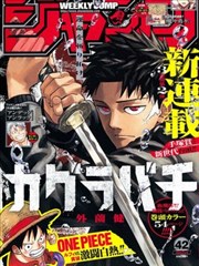 漫画堆卡片 005《温室拳击手》封面示意